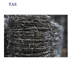 Zweibasig verzinkter Stacheldraht Typ „IOWA“